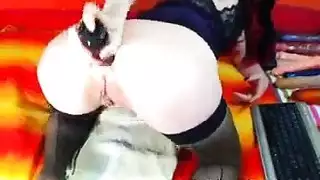 الثدي أهلب الفن المثيرة