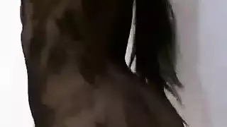 الفتاة الشقراء تأخذ قضيبًا في الغابة إباحية في البرية