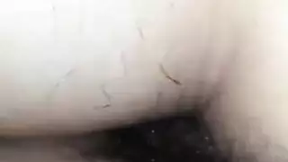 لقطات قضيب منتفخ صور إثارة فردية