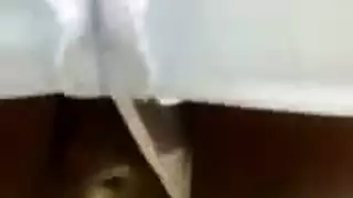 تحميل إباحية كويتية xxx مجانية: مشاهد شرجية ومهبلية