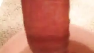 يتعارك معا اخته حتا يلصق زبه