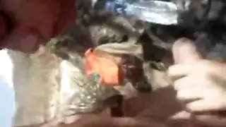 عري علني: فتاة مهووسة تمارس الجنس أثناء التنزه