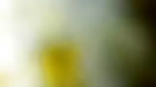 هايجه مصريه ينكها حبيبها