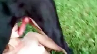 نيك وحشي متطرف: قضيب كلبي يدك فرج متلهف