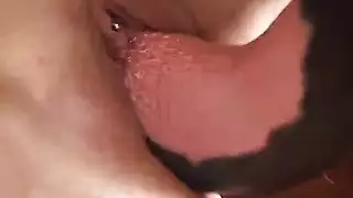 تأخذ زب حصان ضخم بجودة عالية