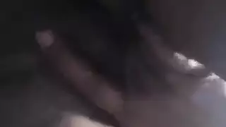 الأسبانية البلغارية عقاب4nhh9hil3ccq