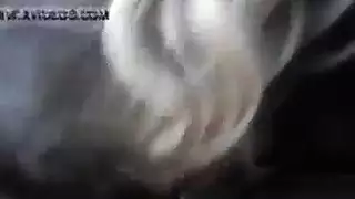 سر بروكلين: مص قضيب صديقها حتى القذف