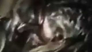 سكس عرب اثناء النوم