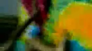 مشهد إكس إكس إكس لدينا سمير غانم ممثلة مصرية هاردكور