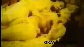 صور عارية إباحية أطلقت العنان