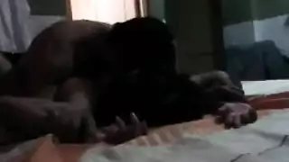 كلبات بمؤخرات كبيرة تتلقى ضربات شرجية