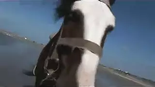 شارع دراجة اللعنة الصعب