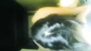 حارسات عراقيات يمارسن الجنس مثل نجمات الإباحية