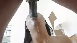 مثليه وجه الجلوس اللفة الرقص العادة السرية سولو