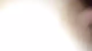 مجموعة أفلام إباحية صريحة المجلد ١٣