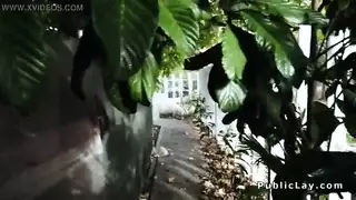 جاري الجميل يمارس الجنس في أي مكان عام