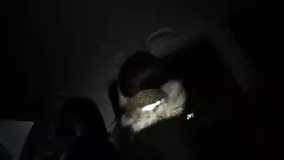 الخام نائب الرئيس مرتين يا حارس الشاطئ