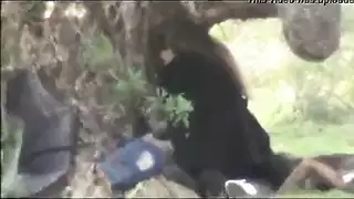 سكس عربي في الخارج: طالبات عاهرات تأخذ زب في العلن