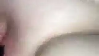 بوصة الديك أربعة بالإصبع